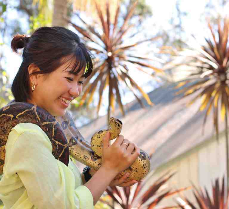 Snake encounter at Billabong Zoo, Port Macquarie