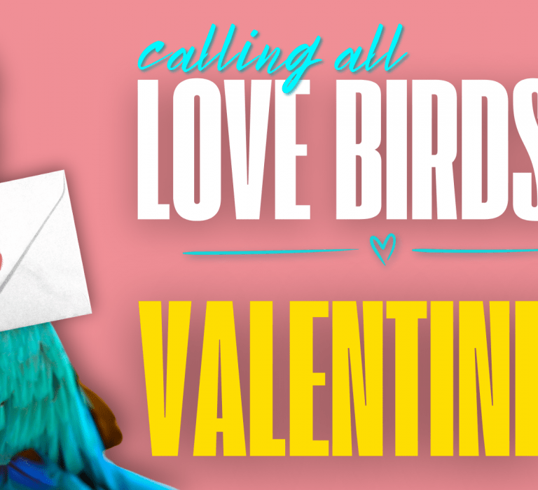 Calling All Love Birds