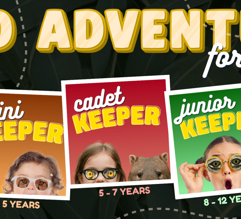 Billabong Zoo - Bubs & Cubs (0-3years) - Mini Keeperz (3-5years) - Cadet Keeperz (5-7 years) - Junior Zoo Keeper for a Day (8-12 years) - Teen Zoo Keeper for a Day (13-17 years)